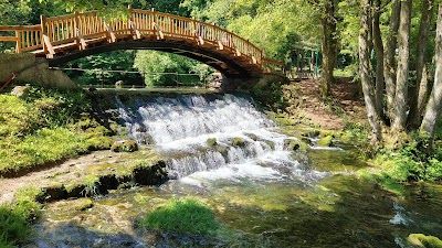Bosna Spring