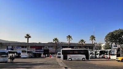 Bus Terminals