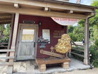 Grizzly Gulch