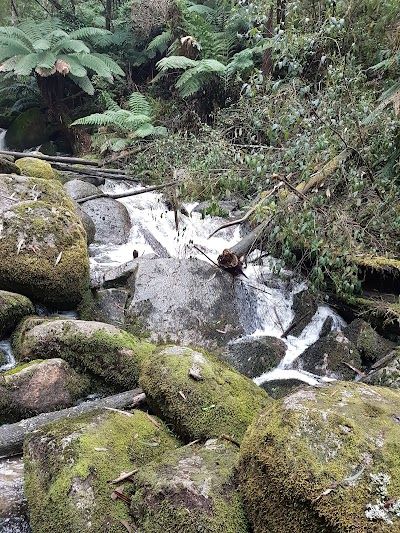 Yarra Ranges Shire
