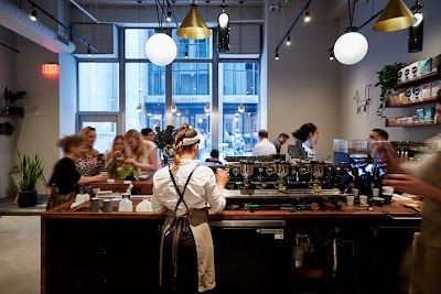Black Fox Coffee