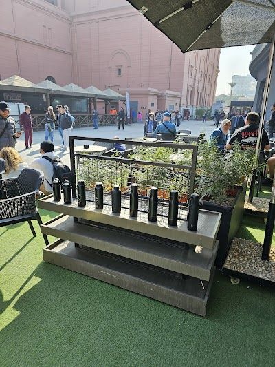 CAF Cafe - The Egyptian Museum