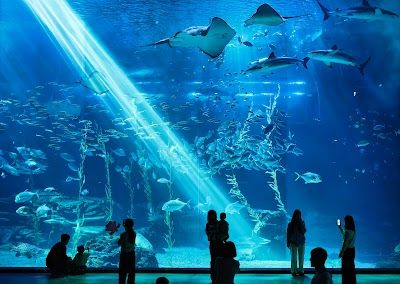 Aqua Planet Jeju