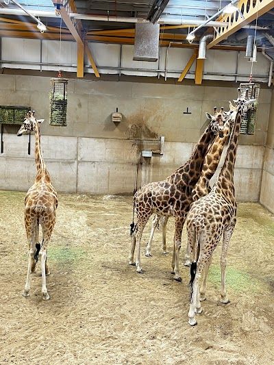 Edinburgh Zoo