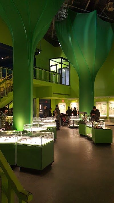 Montreal Insectarium