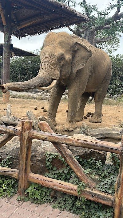 Shanghai Zoo
