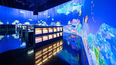 teamLab Future Park Okinawa チームラボ 学ぶ！未来の遊園地 沖縄