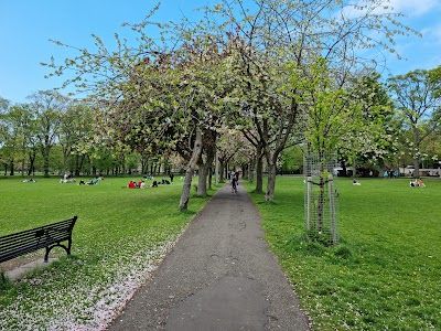 The Meadows