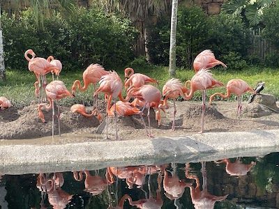 Zoo Miami