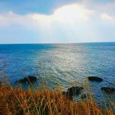 Jeju Island