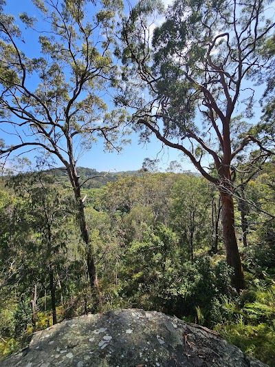 Angophora Reserve