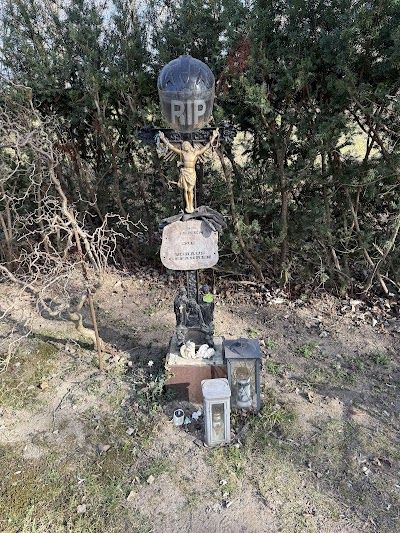 Friedhof der Namenlosen, Vienna