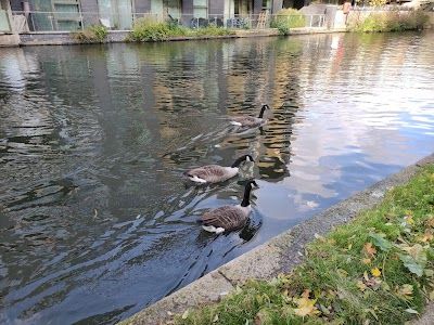 Little Venice