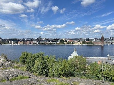Skinnarviksberget