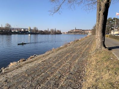 Veslařský ostrov