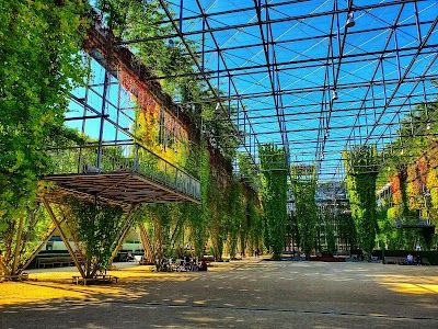 MFO Park
