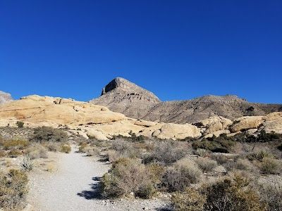 Turtlehead Peak