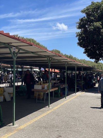 Farmer's Market
