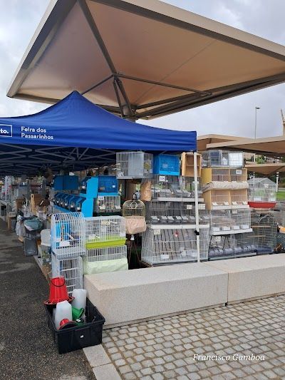 Feira da vandoma