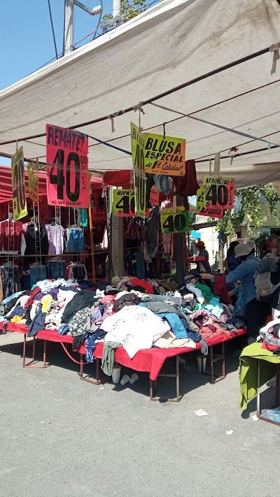 Tianguis El salado