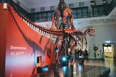 Australian Museum