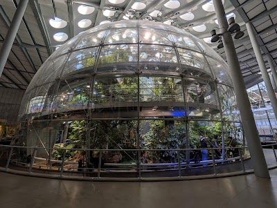 California Academy of Sciences