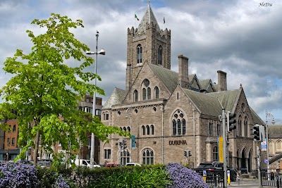 Dublinia