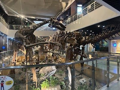 Paleozoological Museum of China