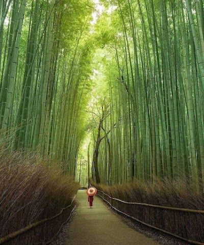Arashiyama