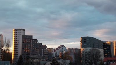 Bronowice