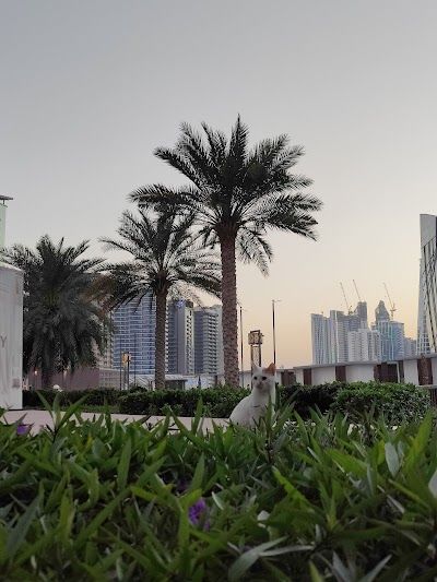 Business Bay
