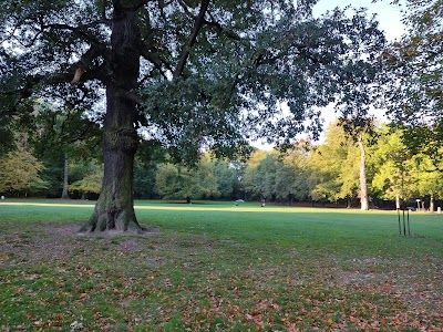 Cambre Woods