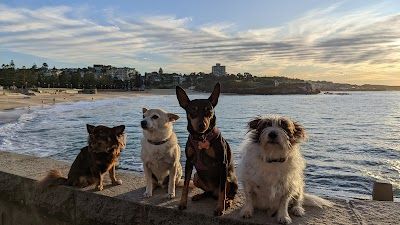Coogee