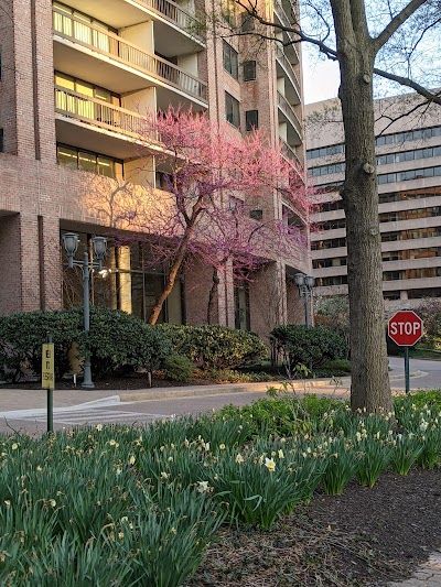 Crystal City