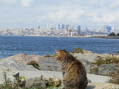 Kadıköy