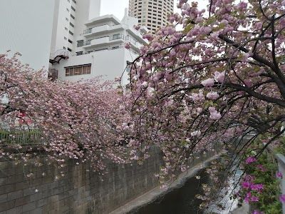 Nakameguro