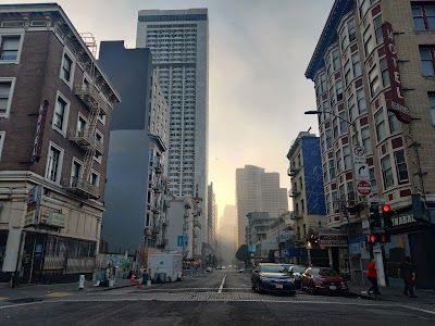 Tenderloin