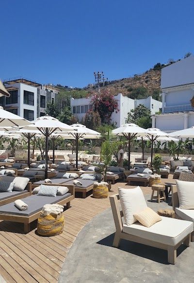 MOMO BODRUM